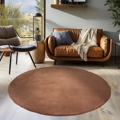 Produktbild von Teppium Waschbarer Kurzflor Teppich - Rutschfest, Einfarbig & Weich im modernen Stil, Grösse: 120 cm Rund