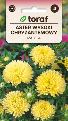 Zdjęcie produktu dla Aster Chryzantemowy Izabela Nasiona Kwiatów 423