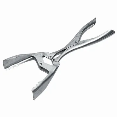 Image de turk 734-57 Pince à briquettes galvanisée avec double articulation, argent (1 pièce)