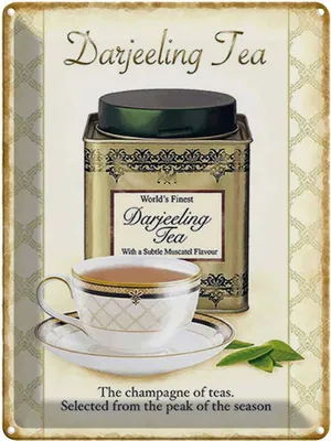 Produktbild von vianmo Blechschild 40x30 cm Tee Darjeeling Tea champagne of teas