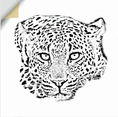 Produktbild von ARTland Wandbild, selbstklebend Leopardenkopf in Schwarz / Weiss Größe: 100x100 cm