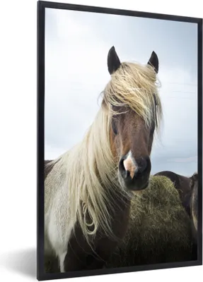 Produktbild von MuchoWow® Gerahmtes Poster Pferde - Fell - Gras 60x90 cm - Poster mit Schwarzem Bilderrahmen Wandposter Rahmen Foto Bilder - Kunst