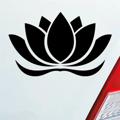 Produktbild von Auto Aufkleber Lotusblüte Lotus Blüte Blume Pflanze Seerose 16x10 cm Schwarz Matt Sticker Heckscheibenaufkleber