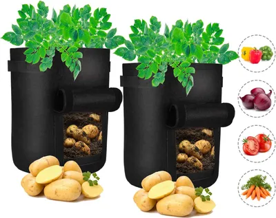 Produktbild von 2 Stück Pflanztasche Kartoffel Tomaten Erdnüsse Gemüse Pflanzsack Pflanzbeutel mit Sichtfenster und Griffen (30x35cm, Schwarz)