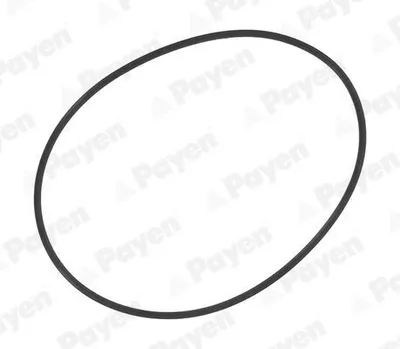 Produktbild von PAYEN Dichtungssatz Zylinderlaufbuchse PA709 für RENAULT TRUCKS G 3mm FPM (Fluor-Kautschuk) 126mm