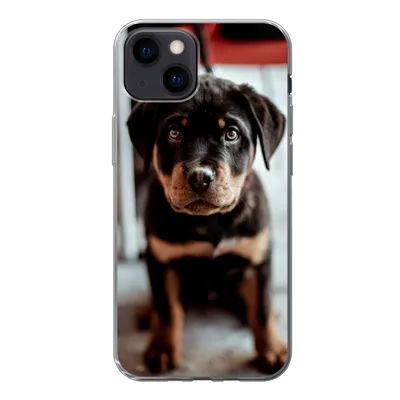 Produktbild von MuchoWow® Handyhülle Schutzhülle Hülle für iPhone 13 mini Jung - Hund - Kamera Silikon Softcase Handy Hülle - Softcase