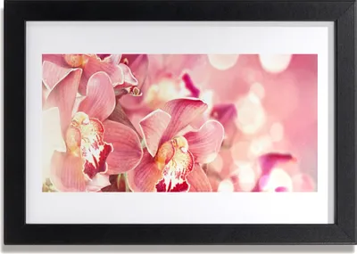 Produktbild von Bild 30x20 MDF-Rahmen Wandkunst Blumen Pflanzen