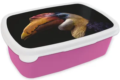 Produktbild von KitchenYeah® Lunchbox Brotzeit Brotdose 17x11 cm Vogel - Schnabel - Schwarz Kinder Brotzeitdose - Lunchpaket - Brotkasten  - Sandwich Box