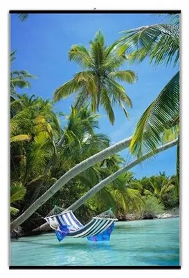 Produktbild von Galeria Plakatu W62C Schwarze Posterleiste 62 cm