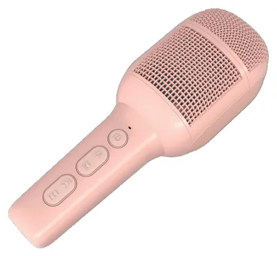 Obrázek produktu pro Bezdrátový mikrofon s vestavěným reproduktorem a USB-C konektorem