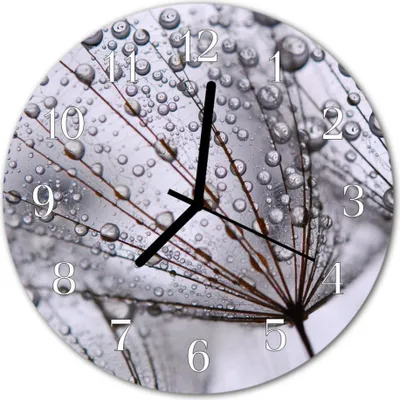 Produktbild von Glasuhr Wanduhr Küchenuhr Echt-Glas 30fi cm Pusteblume grau