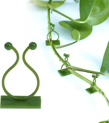 Produktbild von Klemmen für Kletterpflanzen - 100 Stück