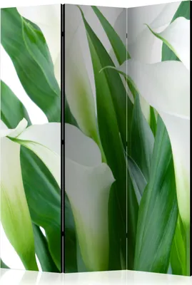 Obrázok produktu pre Jednostranný paraván Kvety 135x172 cm 3-dielny zelený