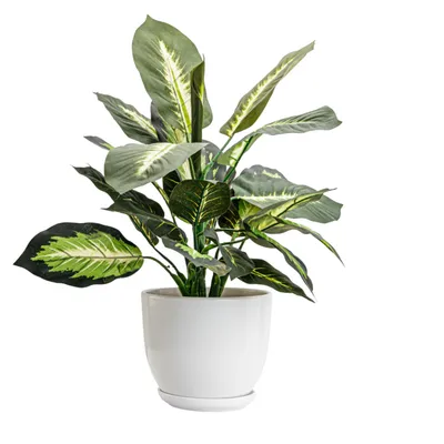 Obrázok produktu pre Keramický kvetináč okrúhly s podšálkou biely 30,5 cm lesklý s drenážnym otvorom