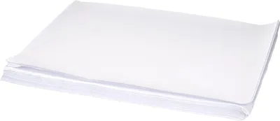 Immagine prodotto di PAPSTAR 12555 PAPSTAR Papier-Tischsets, 300 x 400 mm, weiß