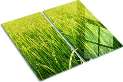 Produktbild von Tulup Glas-Herdabdeckplatte - 2x30x52cm - Glaskeramikkochfeld-Abdeckung Spritzschutz Zweiteilig Reisfeld