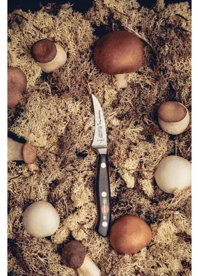 Produktbild von Dick Tourniermesser 7 cm