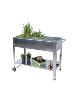 A raised garden bed with plants and gardening supplies on a white background.