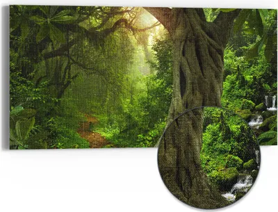 Produktbild von DEQORI Hybrid Leinwand Bild 60x30 cm 'Urwaldgeheimnis' Wandbild Glas flach modern