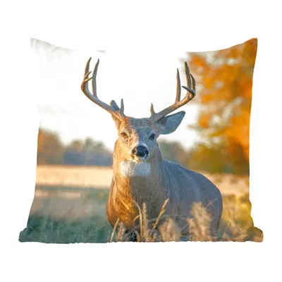 Produktbild von MuchoWow® Zierkissen Sofakissen Wohnzimmer Dekokissen 50x50 cm Hirsche - Gras - Herbst - Geweih - Natur - Tiere - Komfort - Sofakissen