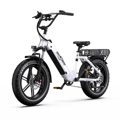 Produktbild von 20*4.0 Zoll E bike E-Mountainbike E-Bike Elektrofahrrad 48V 18AH Mit APP 25KM/H Fatbike Herren Damen Elektro Fahrrad E Fahrrad Strand & Schnee