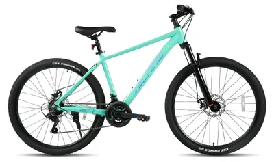Immagine prodotto di Mountain bike da 26 pollici, adatta sia per uomo che per donna, con 21 velocità e freni a disco meccanici