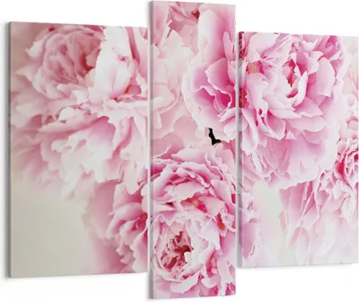 Produktbild von Bild auf Leinwand - Leinwandbild - 3 Teile - Pfingstrosen Blumenstrauß Blumen - 95x80cm - Wand Bild - Wanddeko - Wandbilder - Leinwanddruck - Bilder - Wanddekoration - Leinwand bilder - CB95x80-4961
