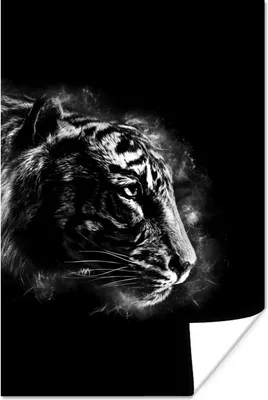 Produktbild von MuchoWow® Poster Magisches Bild mit dem Kopf eines Tigers auf einem schwarzen Hintergrund - schwarz und weiß 40x60 cm - Plakate für die Wand - Poster Babyzimmer