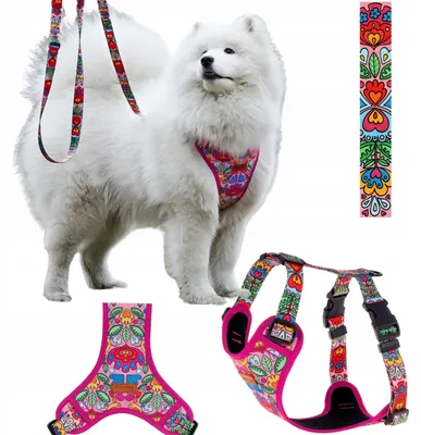 Produktbild von Ukory Druckfreies Hundegeschirr XS Rosa mit Herzchen