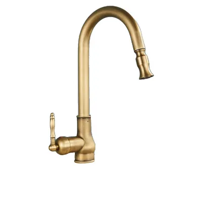 A single kitchen faucet with a pull-out spray head, shown against a white background.