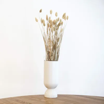 Imagen del producto de fácil cuidado decorativa interior oficina set Sonstige Wasserspielzeuge planta