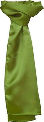 Immagine prodotto di Sciarpa di raso da donna - Colore: Oliva - Dimensioni: 120 x 25cm