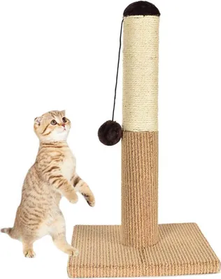 Image de Arbre ? griffer Arbre ? griffer avec corde en sisal et recouvert de peluche lisse et douce gratter verticalement UNE balle de jeu et une grande base Jouets pour chats