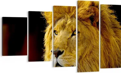 Produktbild von Bild auf Leinwand - Leinwandbild - Löwe Tiere Tierwelt - 100x60cm - Wand Bild - Wanddeko - Leinwanddruck - Bilder - Kunstdruck - Wanddekoration - Leinwand bilder - Wandkunst - EG100x60-1237