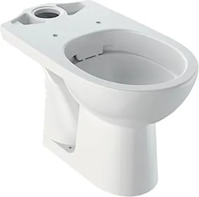 Obrázek produktu pro Stojící WC Geberit Selnova bez splachovacího kruhu zadní odpad 500.283.01.1