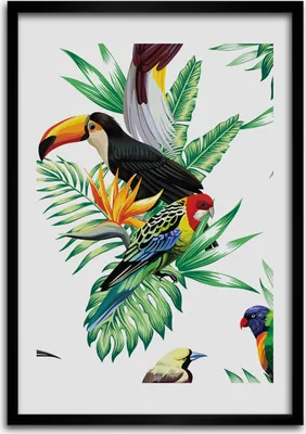 Produktbild von Bild - Bilderrahmen - 50 cm x 70 cm - MDF - Rahmen - Wandkunst Tropische Vögel