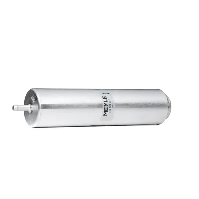 Image de Meyle Filtre à carburant : 314 323 0011