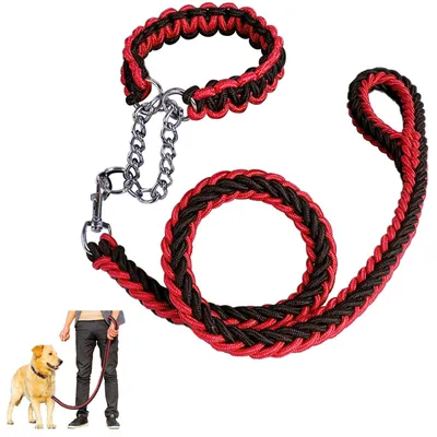 Image de Ensemble robuste de laisse et de collier pour chien, idéal pour l'entraînement