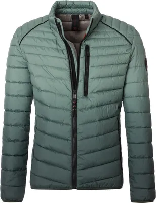 Produktbild von CASAMODA Herren Outdoor-Steppjacke Stehkragen Regular-Fit Grün 3XL