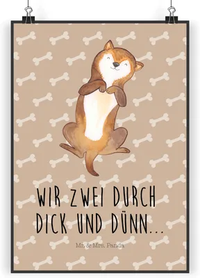 Produktbild von Mr. & Mrs. Panda Bild Hund Streicheln DIN A5 - Hundeglück - Geschenk, Süß, Sprüche, wanddeko, kunstdruck poster, Bauch, Deko, Hunde, drucke, Hundewelpe, Plakat