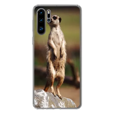 Produktbild von MuchoWow® Handyhülle Schutzhülle Hülle für Huawei P30 Pro Erdmännchen - Tier - Spiel Silikon Softcase Handy Hülle - Schutzdeckel