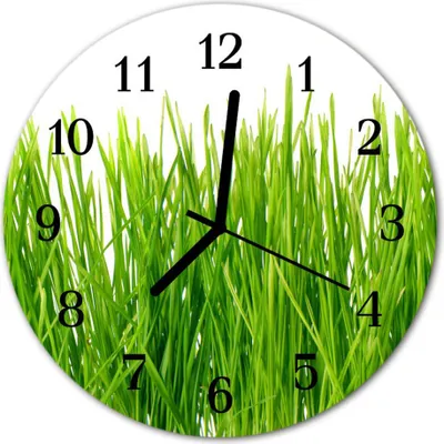Produktbild von Glasuhr Wanduhr Küchenuhr Echt-Glas 30fi cm Gras grün