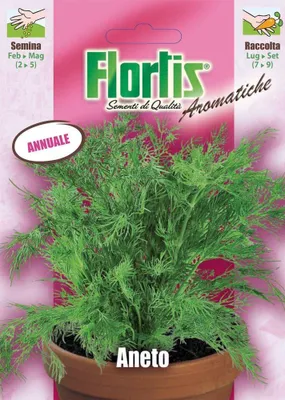 Produktbild von Dill | Dillsamen von Flortis [MHD 12/2026]