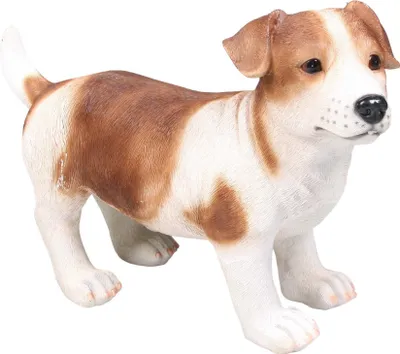 Produktbild von Jack Russel Hund aus Kunstharz 39 x 18 x 26 cm