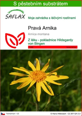 Obrázek produktu pro SAFLAX - Pravá Arnika - Arnica montana - 40 Semena - S pěstebním substrátem bez klíčků
