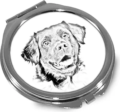 Productafbeelding van Friese Stabij spiegel met foto van hond Art-Dog
