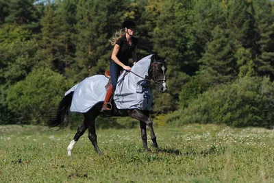 Produktbild von Bucas Buzz-Off Riding Outdoordecke, Reitdecke, Farbe:Blue, Größe:M