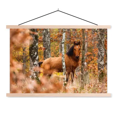 Produktbild von MuchoWow® Textilposter Pferd - Wald - Herbst 120x80 cm mit holzfarbenen Rahmen - Aufhängeset