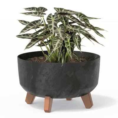 Obrázok produktu pre Bonsai Miska Strom Mini Záhrada Kvetináč na nohách Kvetináč D 28,5 cm Antracitové plastové kvetináče s vložkou Betónová optika Cachepots
