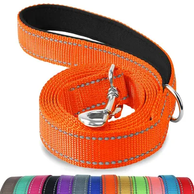 Image de Laisse pour chien - Laisse à poignée rembourrée - 180 cm - Nylon - Orange